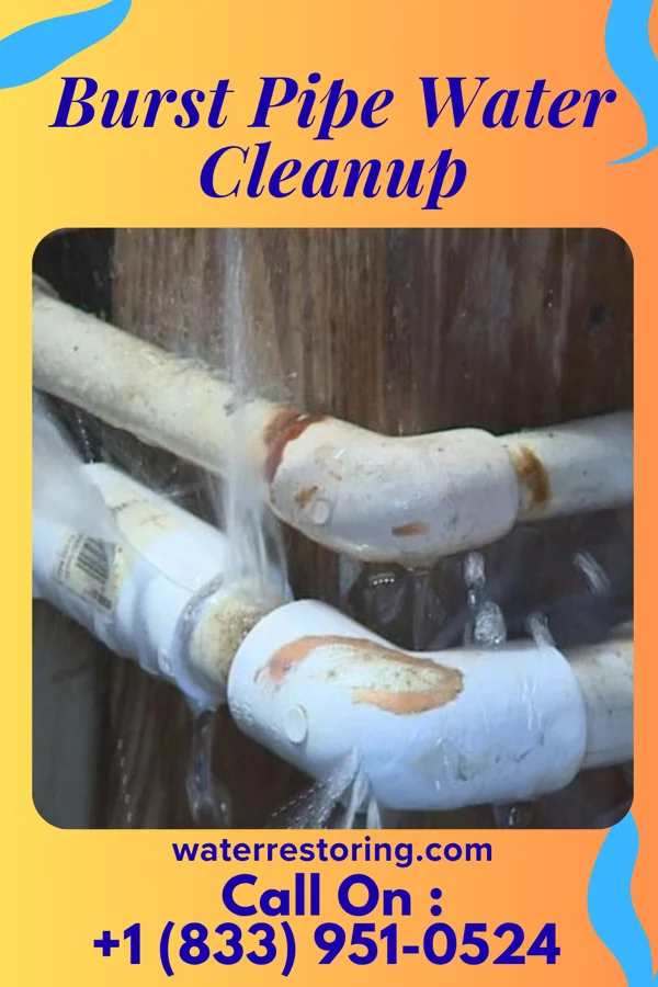 Burst Pipe Water Cleanup in Clinchco, VA