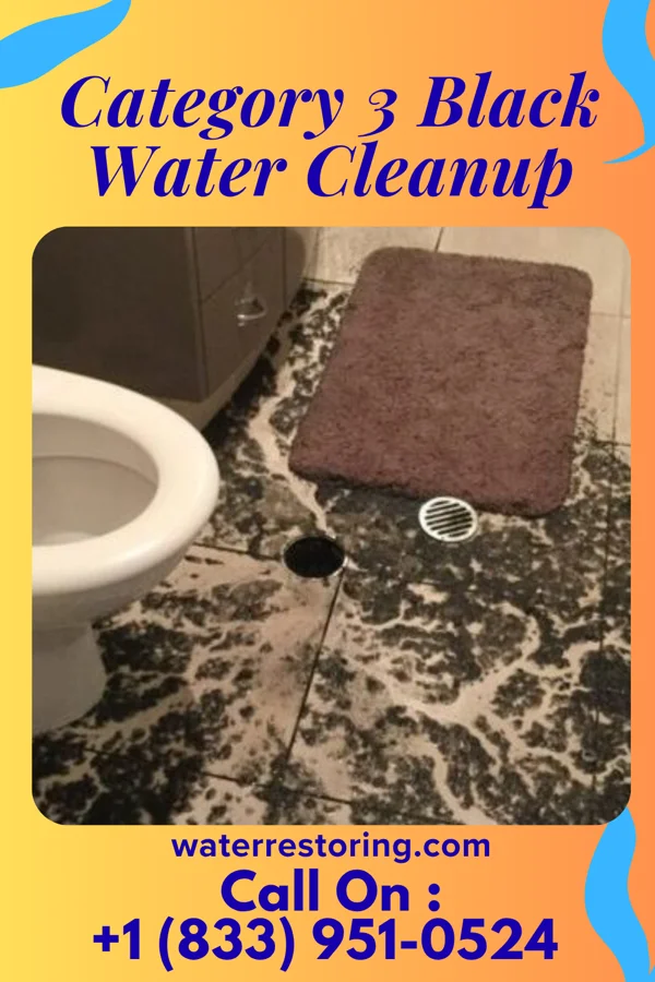 Category 3 Black Water Cleanup in Clinchco, VA