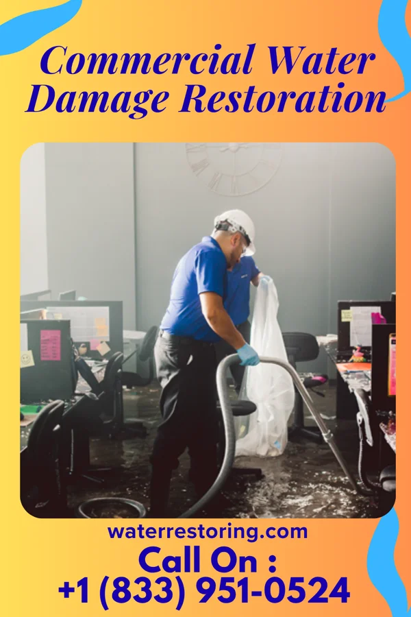 Commercial Water Damage Restoration in Clinchco, VA