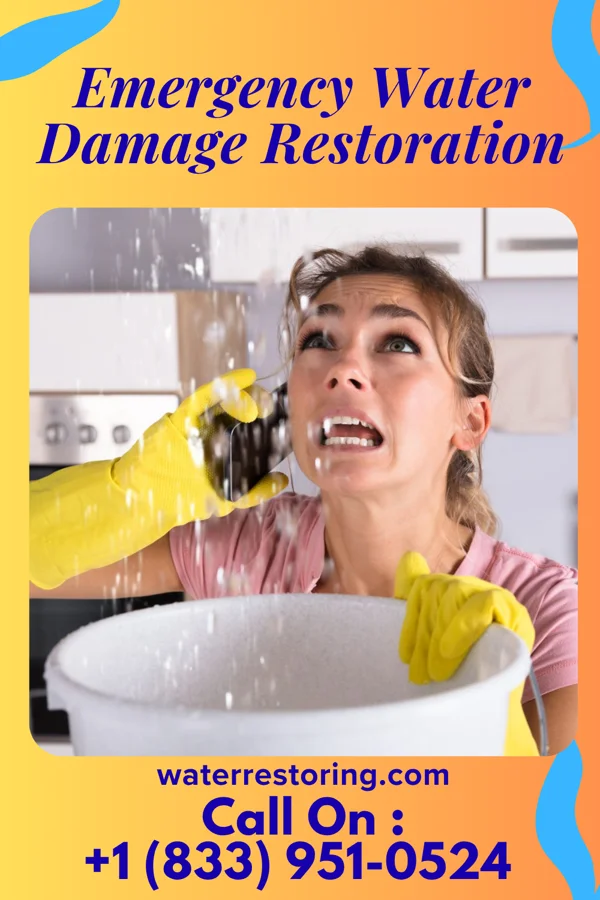 Emergency Water Damage Restoration in Clinchco, VA