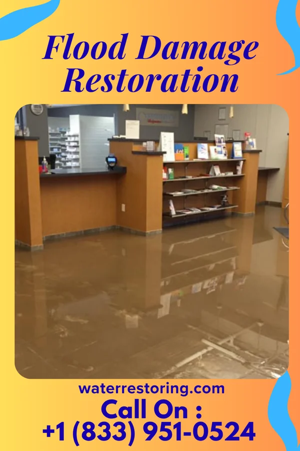 Flood Damage Restoration in Clinchco, VA