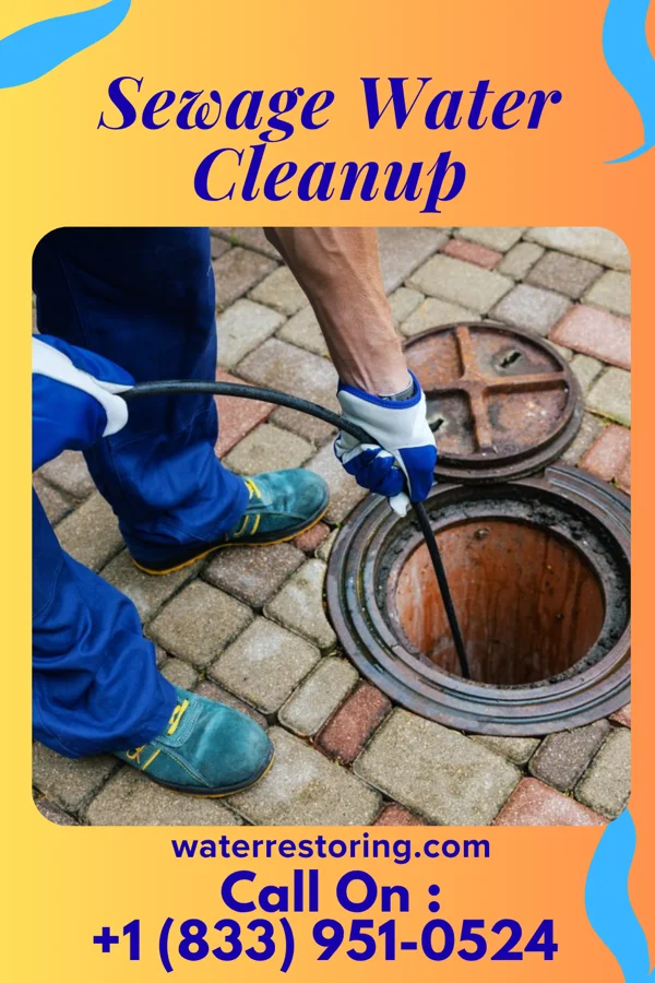 Sewage Water Cleanup in Clinchco, VA